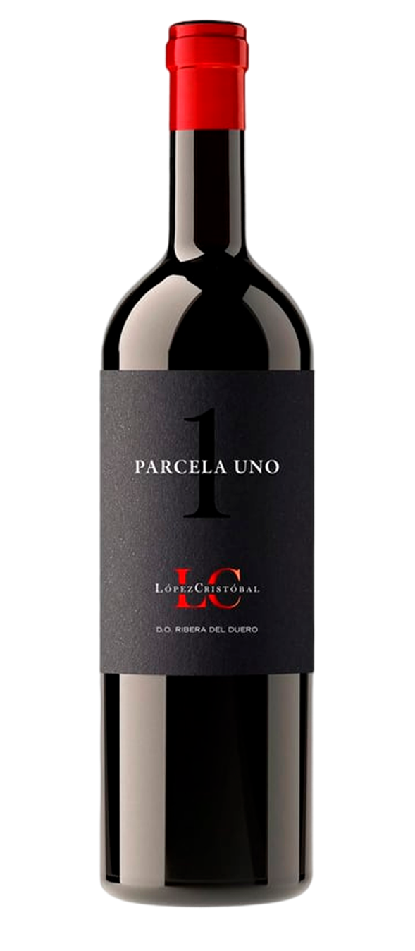 LOPEZ cHRISTOBAL PARCELA 2019